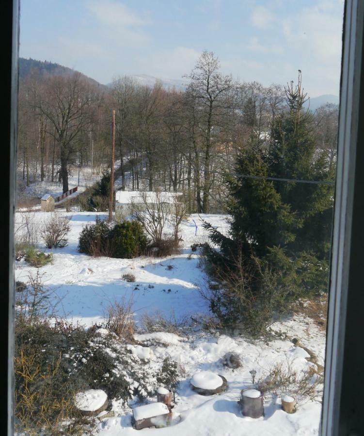 Pod Kasztanem Gospodarstwo Agroturystyczne Stronie Śląskie Exterior foto